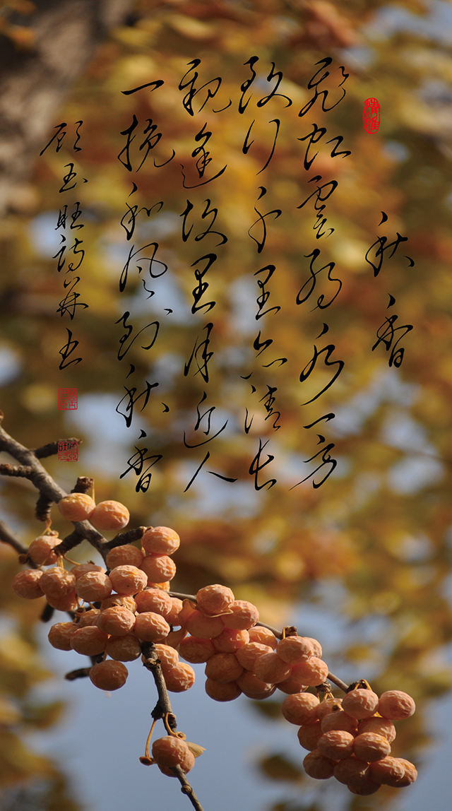 5顾玉旺作品《秋香》注释：飞虹云约水一方，致行千里亦清长。亲逢故里月近人，一挽和风到秋香。.jpg