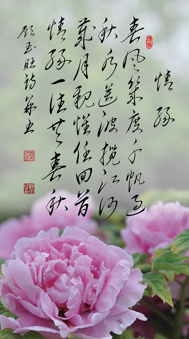 9顾玉旺作品《情缘》注释：春风几度千帆过，秋水送波揽江河。岁月亲怀任回首，情缘一往共春秋。.jpg