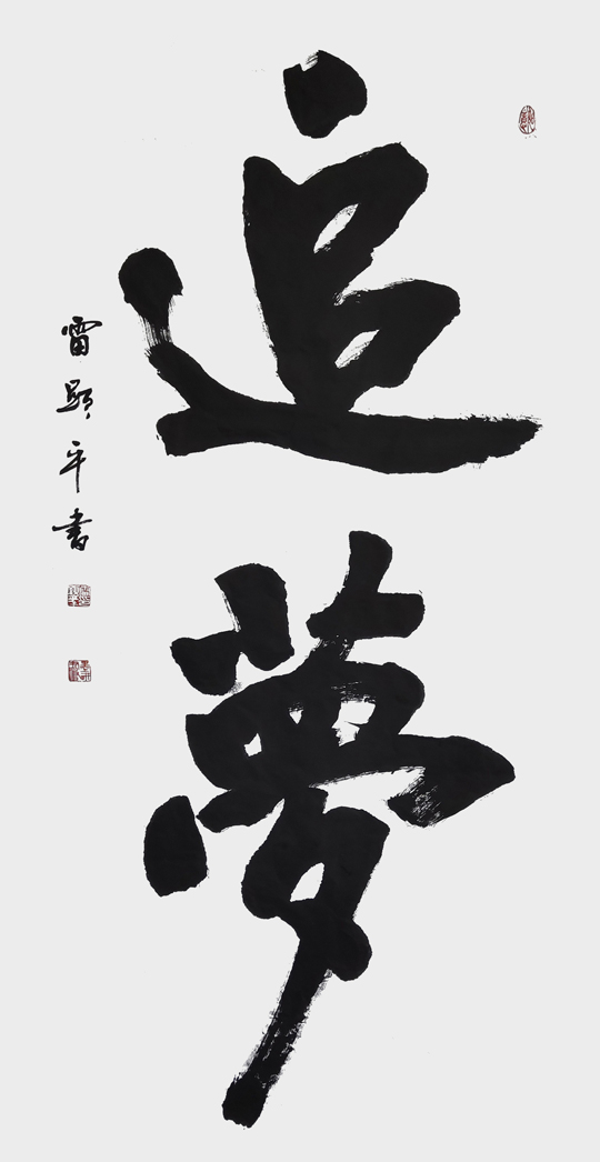 雷显平作品2-《追梦》.jpg