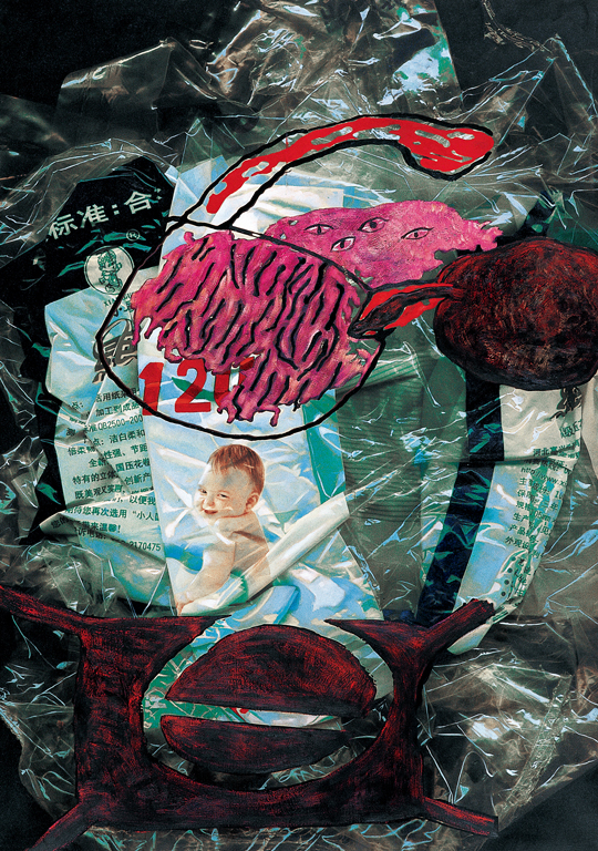 杨萍作品2《2003年生态目击NO5》综合材料--规格：120cm×170cm.jpg