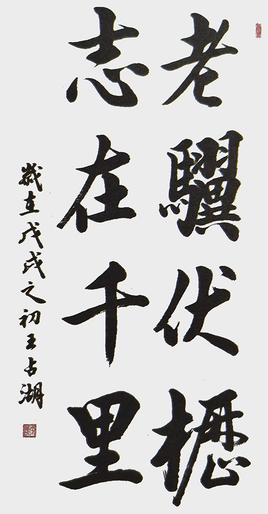 王占湖作品4《老骥伏枥 志在千里》.jpg